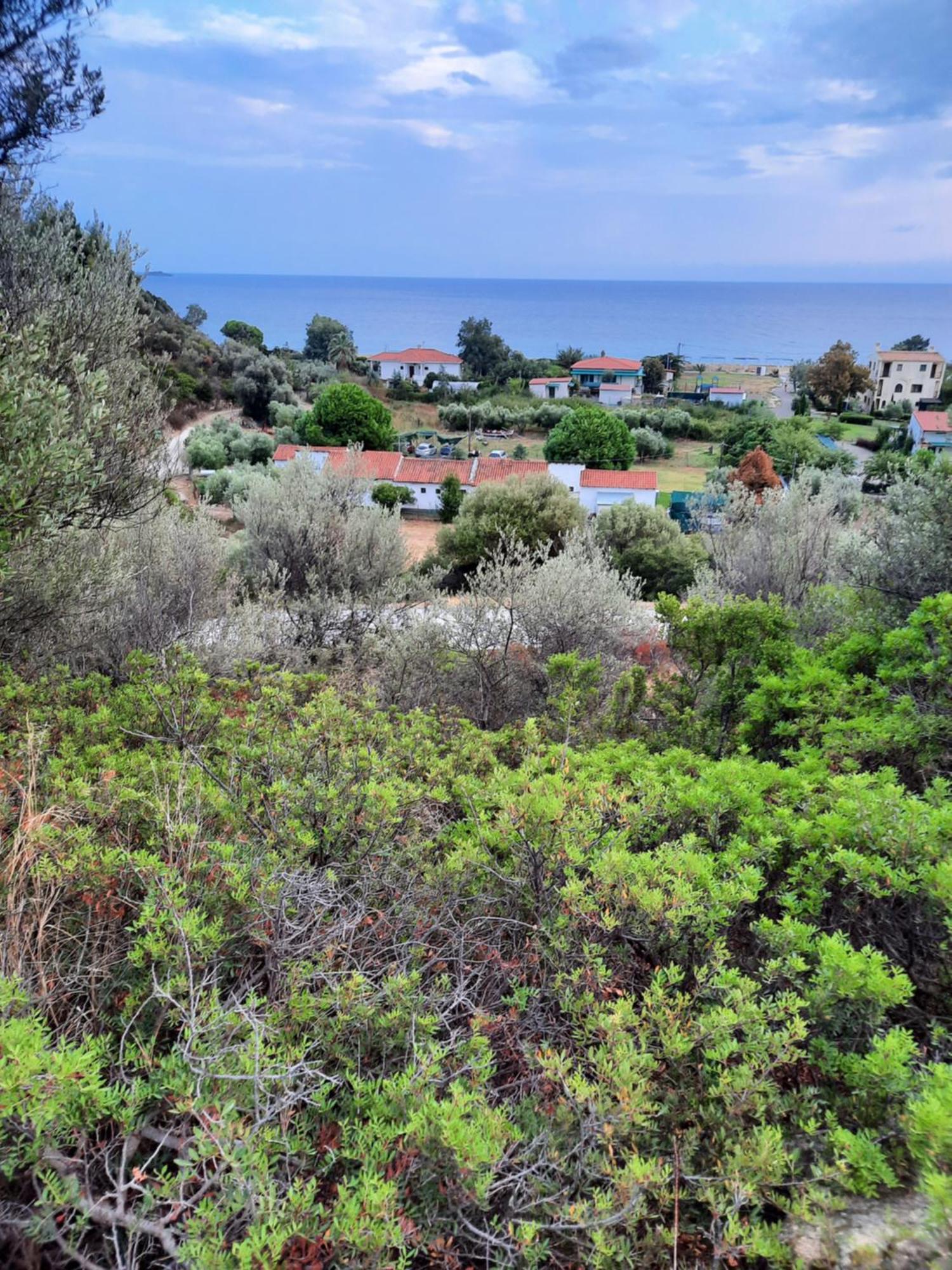 Bungalows Anestis Torone Zewnętrze zdjęcie