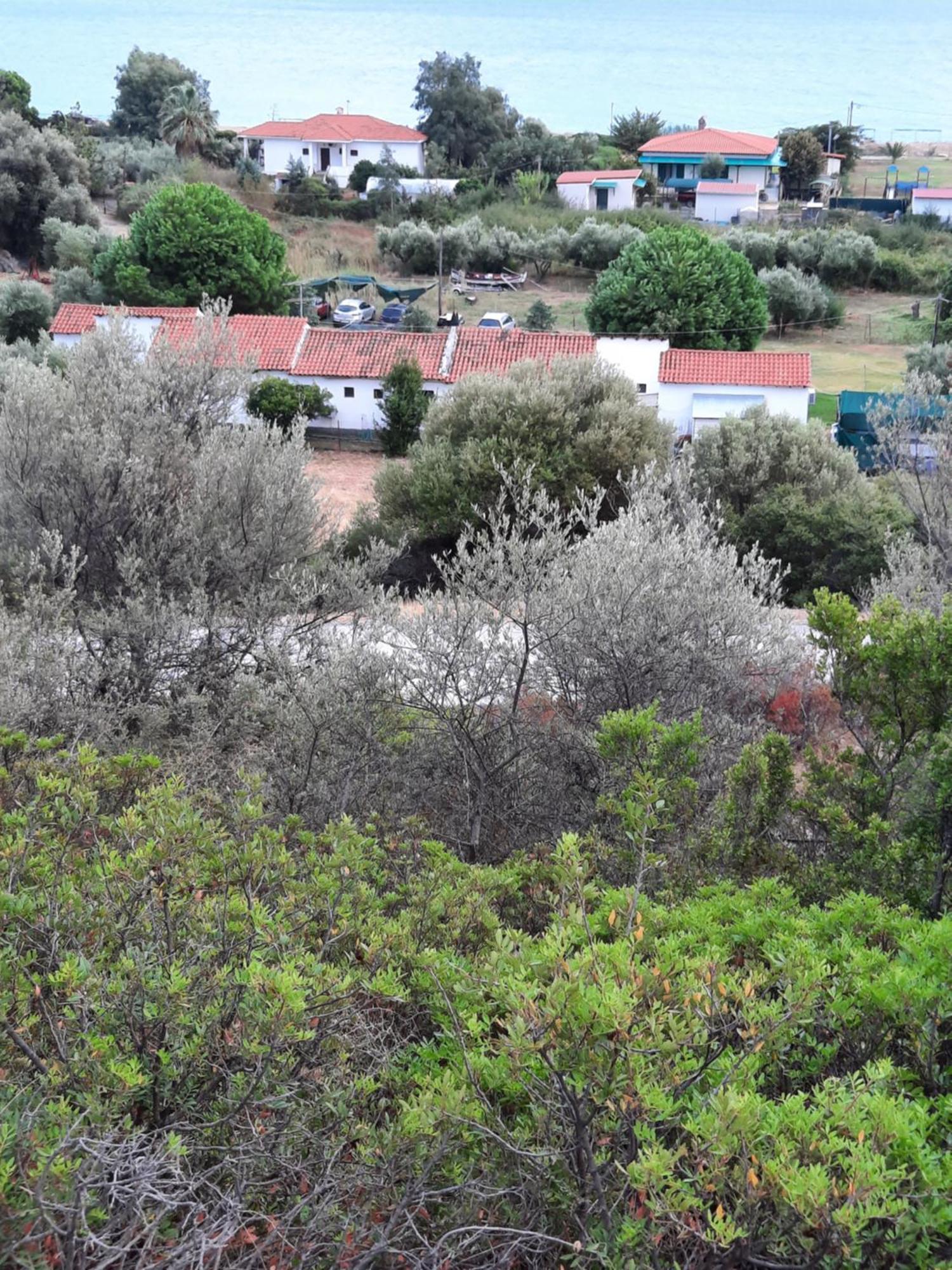 Bungalows Anestis Torone Zewnętrze zdjęcie